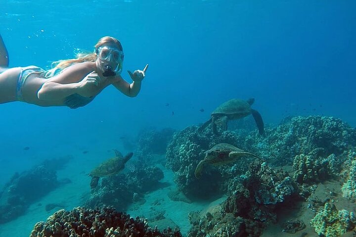 Snorkel with sea turtles and tropical fish in the clear waters of San Juan, Puerto Rico, photo 1 | wizardtrip