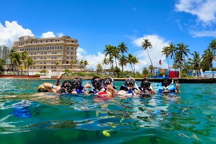 Snorkel com tartarugas marinhas e peixes tropicais nas águas cristalinas de San Juan, Porto Rico, foto 10 | wizardtrip