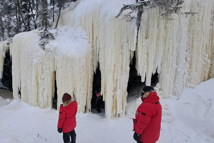 Avventura in motoslitta per principianti su laghi ghiacciati e sentieri forestali a Yellowknife, foto 15 | wizardtrip