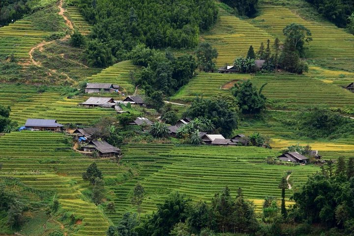 ベトナムの棚田、民族村、山の景色を特徴とする景色の良いサパのエコツアー、写真9 | wizardtrip