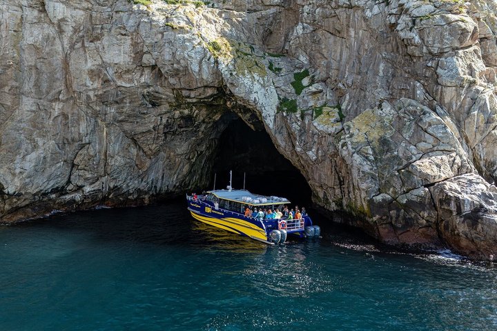 Maria Island Cruise & Walk Day Tour with Lunch (from Hobart) | wizardtrip