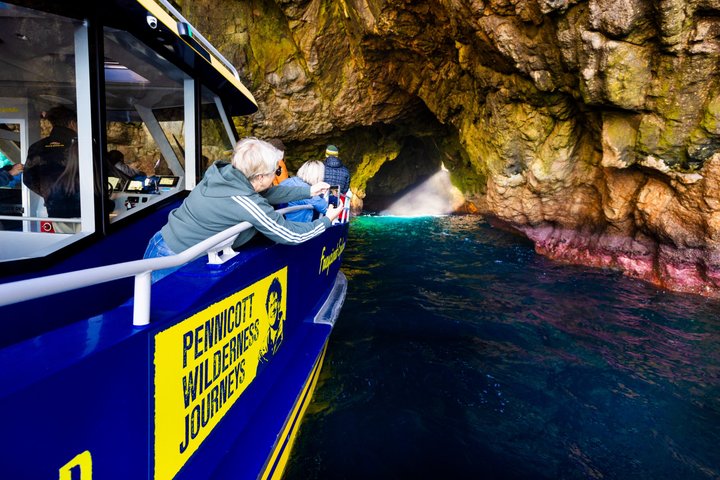 Passeio de dia inteiro explorando o Parque Nacional da Ilha Maria a partir de Hobart, com vida selvagem, cruzeiros e locais históricos, foto 6 | wizardtrip