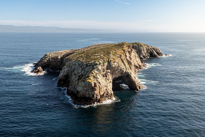 Passeio de dia inteiro explorando o Parque Nacional da Ilha Maria a partir de Hobart, com vida selvagem, cruzeiros e locais históricos, foto 7 | wizardtrip