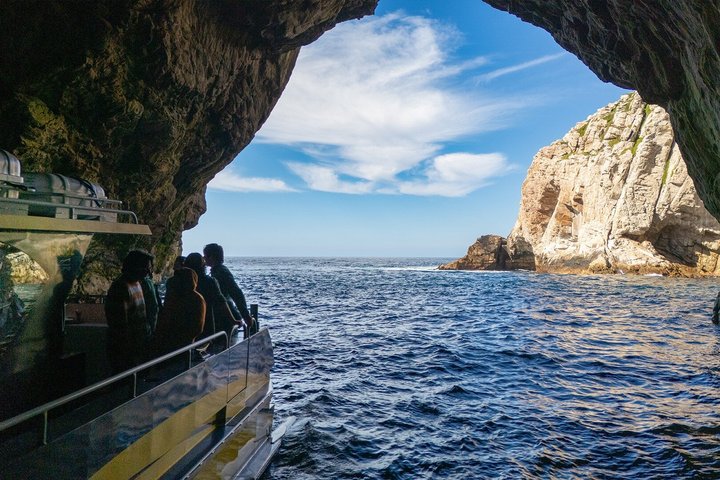 Passeio de dia inteiro explorando o Parque Nacional da Ilha Maria a partir de Hobart, com vida selvagem, cruzeiros e locais históricos, foto 8 | wizardtrip