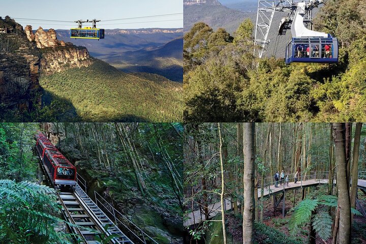 Excursión en grupo reducido explorando las Blue Mountains, el Zoológico de Sídney y un pintoresco paseo en ferry, foto 7 | wizardtrip