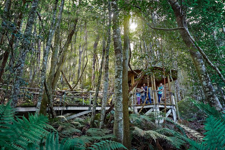 Excursión en grupo reducido explorando las Blue Mountains, el Zoológico de Sídney y un pintoresco paseo en ferry, foto 8 | wizardtrip