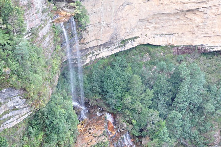 Excursión en grupo reducido explorando las Blue Mountains, el Zoológico de Sídney y un pintoresco paseo en ferry, foto 13 | wizardtrip