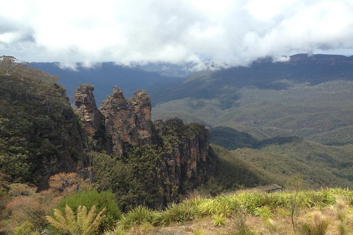Excursión en grupo reducido explorando las Blue Mountains, el Zoológico de Sídney y un pintoresco paseo en ferry, foto 17 | wizardtrip