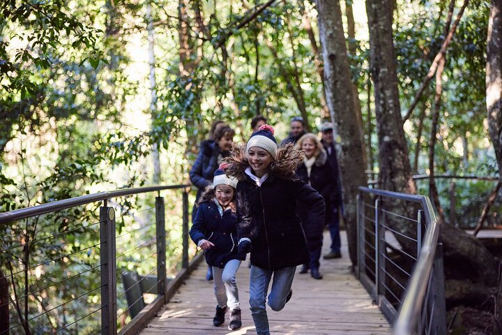 Excursión en grupo reducido explorando las Blue Mountains, el Zoológico de Sídney y un pintoresco paseo en ferry, foto 41 | wizardtrip
