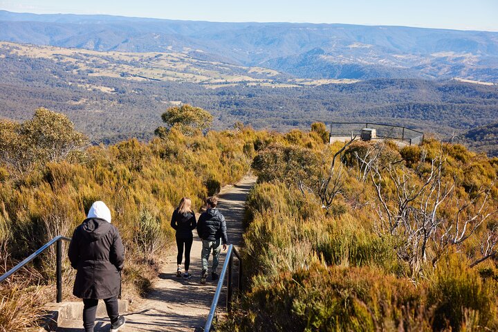 Excursión en grupo reducido explorando las Blue Mountains, el Zoológico de Sídney y un pintoresco paseo en ferry, foto 44 | wizardtrip