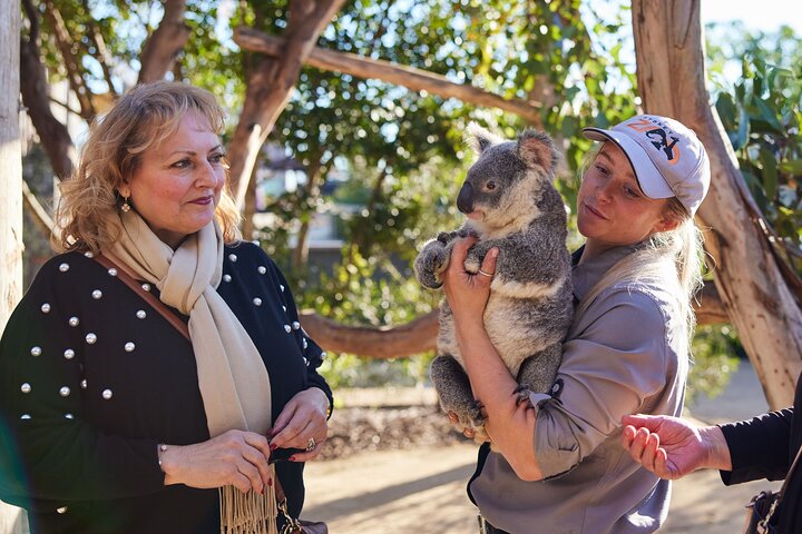 Excursión en grupo reducido explorando las Blue Mountains, el Zoológico de Sídney y un pintoresco paseo en ferry, foto 48 | wizardtrip