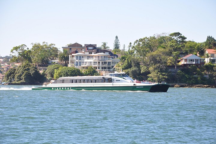 Excursión en grupo reducido explorando las Blue Mountains, el Zoológico de Sídney y un pintoresco paseo en ferry, foto 50 | wizardtrip
