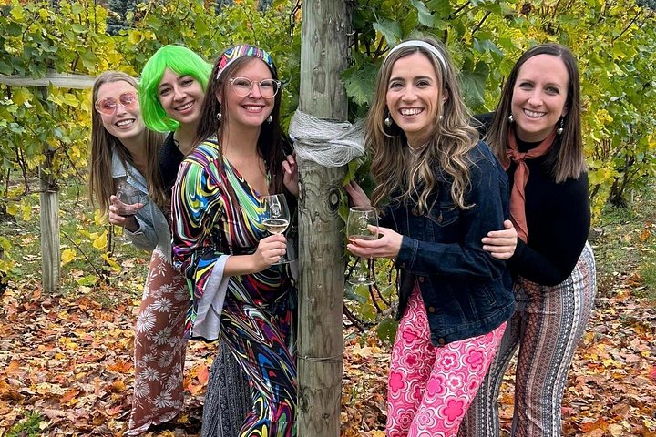 Tour de vino en SUV de lujo en Old Mission Peninsula, Traverse City, Michigan, con viñedos y vistas a la bahía, foto 19 | wizardtrip