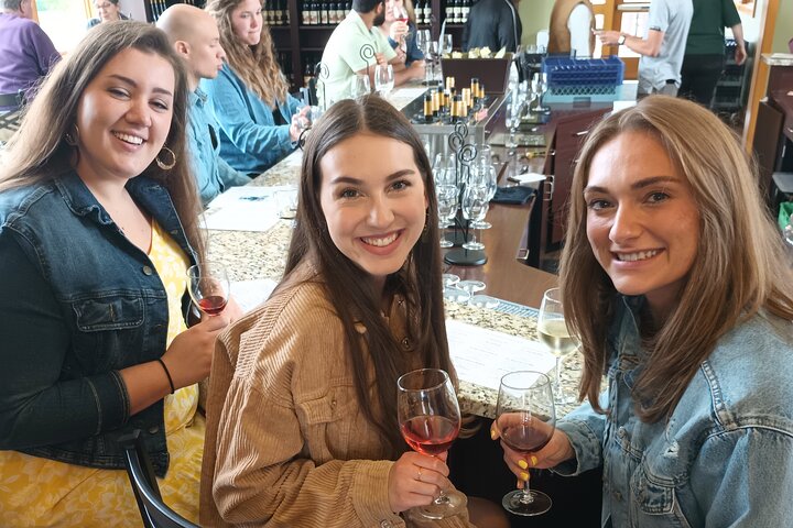Tour de vino en SUV de lujo en Old Mission Peninsula, Traverse City, Michigan, con viñedos y vistas a la bahía, foto 35 | wizardtrip