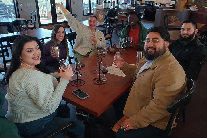 Tour de vino en SUV de lujo en Old Mission Peninsula, Traverse City, Michigan, con viñedos y vistas a la bahía, foto 39 | wizardtrip