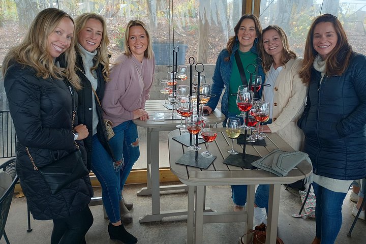 Tour de vino en SUV de lujo en Old Mission Peninsula, Traverse City, Michigan, con viñedos y vistas a la bahía, foto 40 | wizardtrip