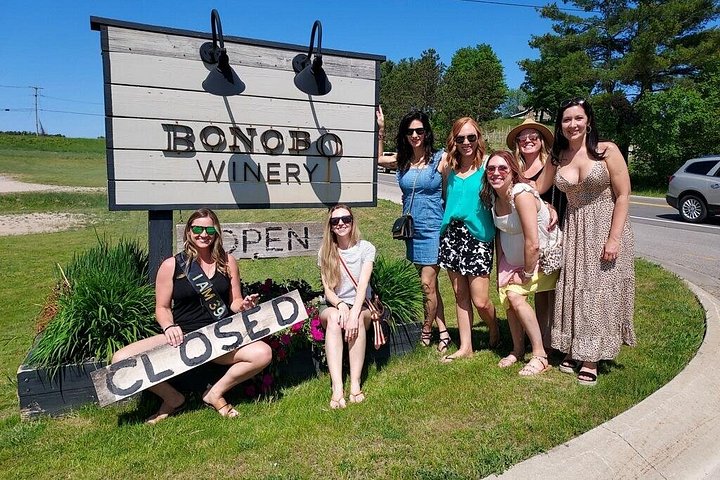 Tour de vino en SUV de lujo en Old Mission Peninsula, Traverse City, Michigan, con viñedos y vistas a la bahía, foto 46 | wizardtrip