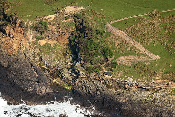 Tur i liten grupp på Otago Peninsula, Nya Zeeland, med säl- och pingvinskådning, foto 10 | wizardtrip