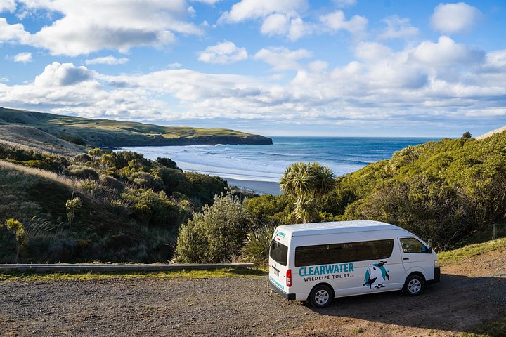 Tur i liten grupp på Otago Peninsula, Nya Zeeland, med säl- och pingvinskådning, foto 19 | wizardtrip