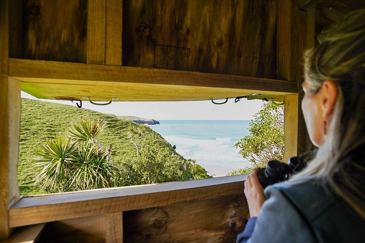 Tur i liten grupp på Otago Peninsula, Nya Zeeland, med säl- och pingvinskådning, foto 24 | wizardtrip