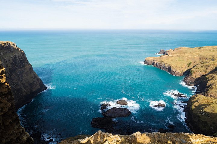 Tur i liten grupp på Otago Peninsula, Nya Zeeland, med säl- och pingvinskådning, foto 39 | wizardtrip