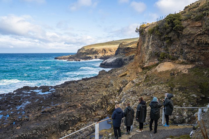 Tur i liten grupp på Otago Peninsula, Nya Zeeland, med säl- och pingvinskådning, foto 40 | wizardtrip
