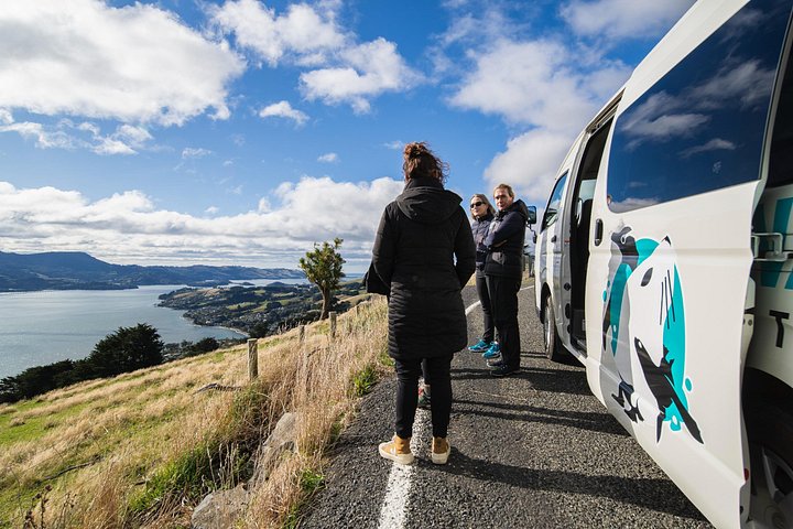 Tur i liten grupp på Otago Peninsula, Nya Zeeland, med säl- och pingvinskådning, foto 44 | wizardtrip