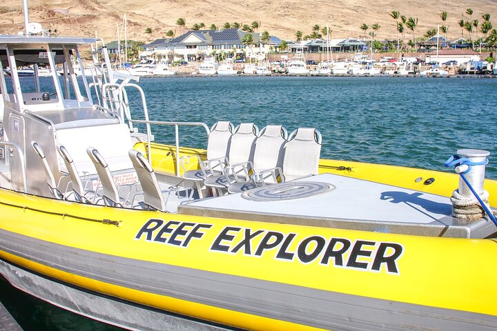 Schnorchelabenteuer im Molokini-Krater und Turtle Cove auf Maui an Bord eines Luxus-Super-Rafts, Foto 11 | wizardtrip