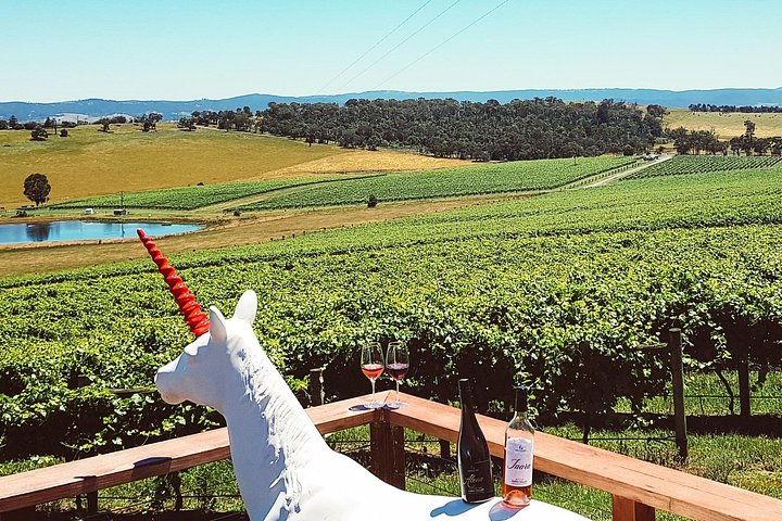 Yarra Valley vintur fra Melbourne med vingårdsbesøk, lunsj og valgfri gin- eller ølsmaking, foto 8 | wizardtrip