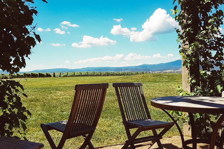 Yarra Valley vintur fra Melbourne med vingårdsbesøk, lunsj og valgfri gin- eller ølsmaking, foto 17 | wizardtrip