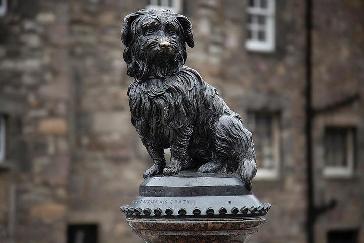 Eine geführte Walking Tour durch Edinburgh, Schottland, mit historischen Stätten und Edinburgh Castle, Foto 10 | wizardtrip