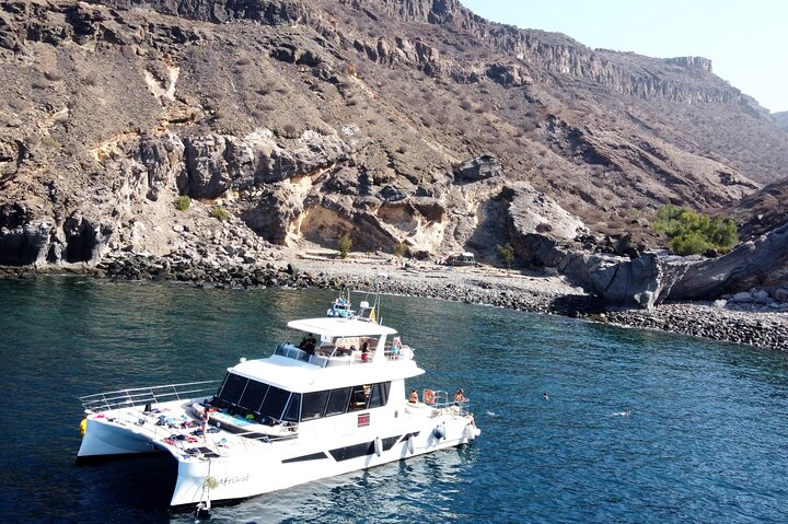 Afrikat Morning Cruise | wizardtrip