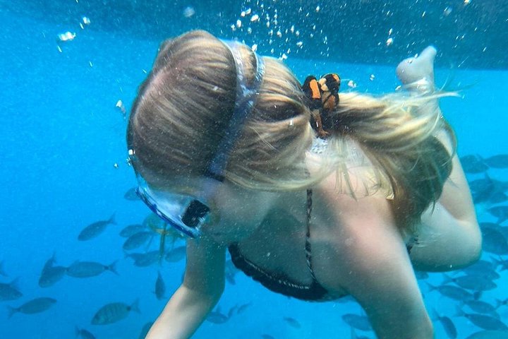 Nyt en luksuriøs katamarantur langs Gran Canarias kyst, med svømming, snorkling og forfriskninger om bord, foto 16 | wizardtrip