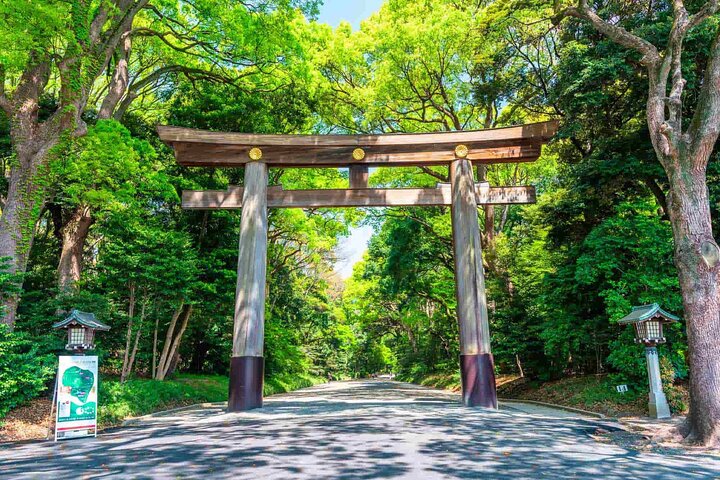 Personlig privat rundvisning af Tokyos must-see seværdigheder, inklusive templer, markeder og moderne distrikter, foto 13 | wizardtrip