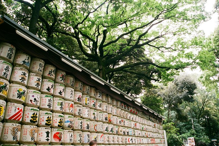 Personlig privat rundvisning af Tokyos must-see seværdigheder, inklusive templer, markeder og moderne distrikter, foto 14 | wizardtrip