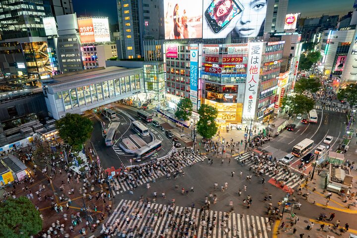 Personlig privat rundvisning af Tokyos must-see seværdigheder, inklusive templer, markeder og moderne distrikter, foto 17 | wizardtrip