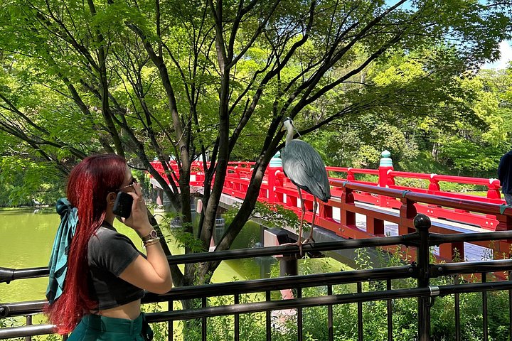 Osaka vandringstur med ikoniska landmärken som Osaka Castle och Dotonbori, lokala marknader och livliga gator, foto 32 | wizardtrip