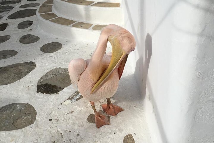 Private 4-hour Mykonos island tour by car, visiting beaches, lighthouse, and traditional villages, photo 23 | wizardtrip