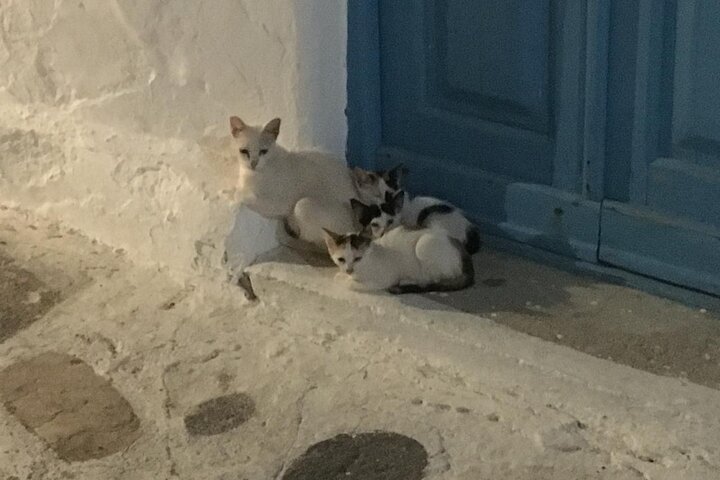 Private 4-hour Mykonos island tour by car, visiting beaches, lighthouse, and traditional villages, photo 28 | wizardtrip