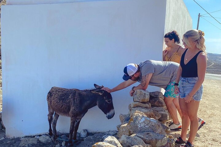Private 4-hour Mykonos island tour by car, visiting beaches, lighthouse, and traditional villages, photo 29 | wizardtrip