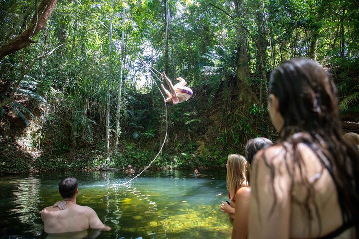 Cape Tribulation Day Tour from Cairns | wizardtrip