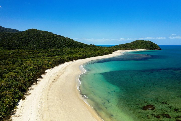 Dagtocht naar Cape Tribulation vanuit Cairns, met regenwoud-, strand- en rivieractiviteiten, foto 6 | wizardtrip