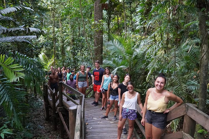 Dagtocht naar Cape Tribulation vanuit Cairns, met regenwoud-, strand- en rivieractiviteiten, foto 7 | wizardtrip