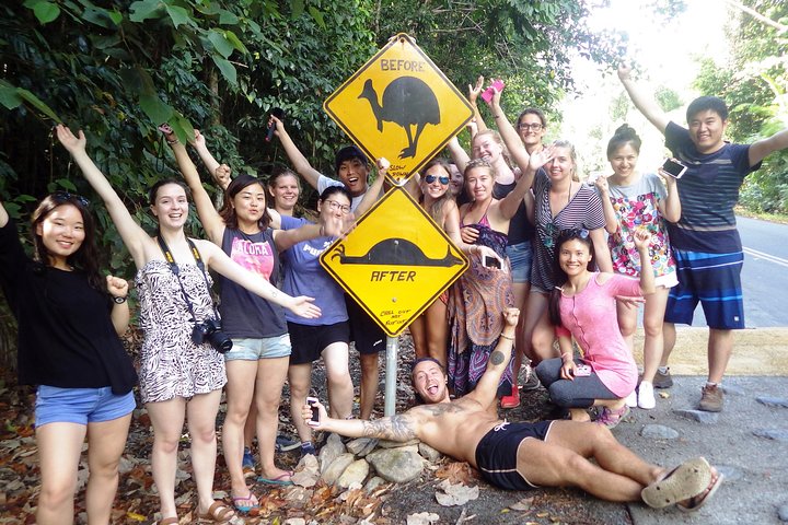 Dagtocht naar Cape Tribulation vanuit Cairns, met regenwoud-, strand- en rivieractiviteiten, foto 10 | wizardtrip
