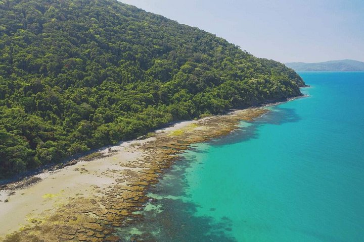 Dagtocht naar Cape Tribulation vanuit Cairns, met regenwoud-, strand- en rivieractiviteiten, foto 15 | wizardtrip