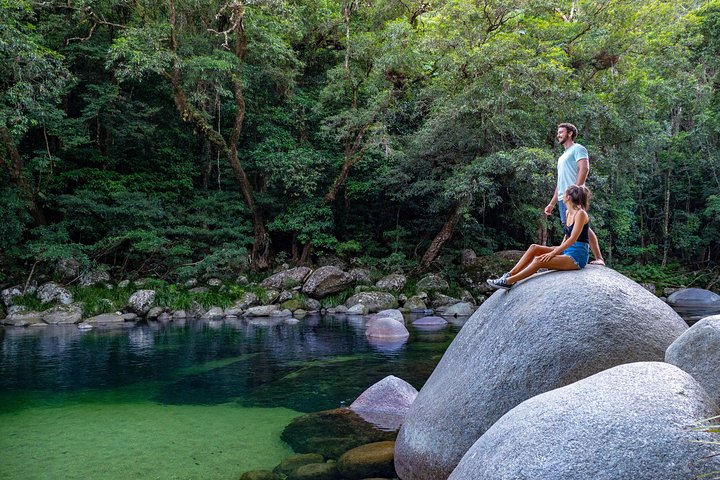 Heldagstur som utforsker Daintree Rainforest, Mossman Gorge og Daintree River fra Port Douglas, foto 6 | wizardtrip