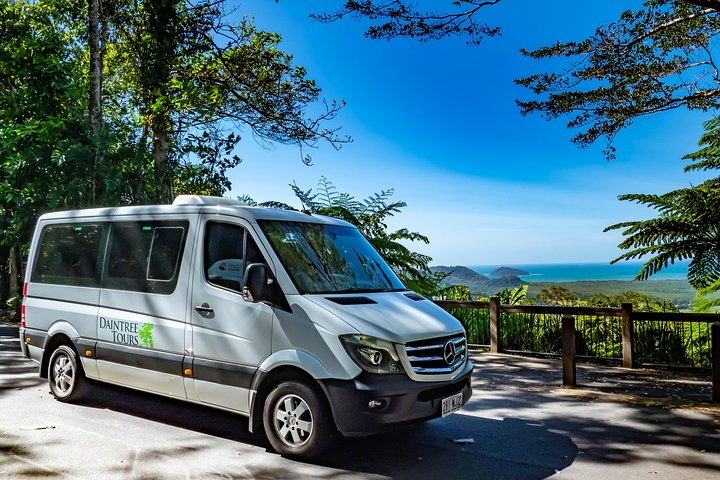 Heldagstur som utforsker Daintree Rainforest, Mossman Gorge og Daintree River fra Port Douglas, foto 8 | wizardtrip