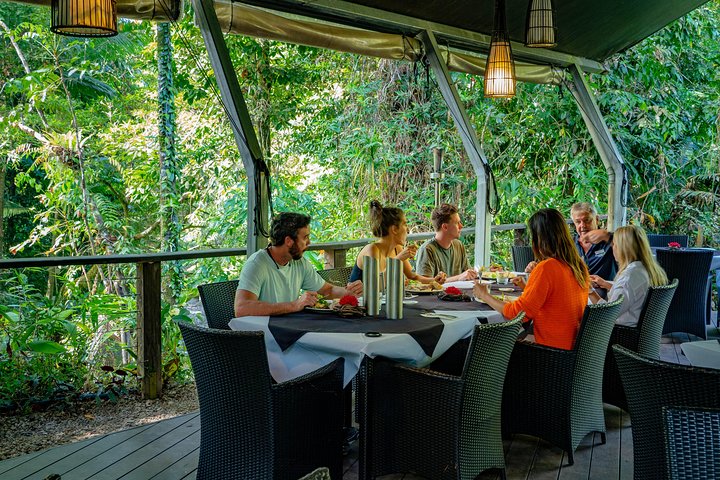 Heldagstur som utforsker Daintree Rainforest, Mossman Gorge og Daintree River fra Port Douglas, foto 11 | wizardtrip