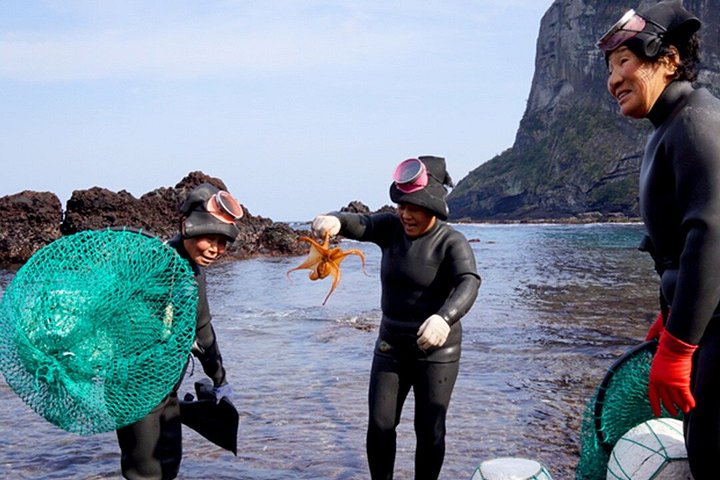 Tour UNESCO di Jeju Est con raccolta mandarini, Seongsan Ilchulbong e subacquee Haenyeo, foto 15 | wizardtrip