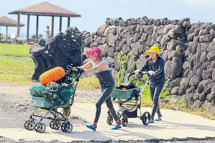 Tour UNESCO di Jeju Est con raccolta mandarini, Seongsan Ilchulbong e subacquee Haenyeo, foto 16 | wizardtrip
